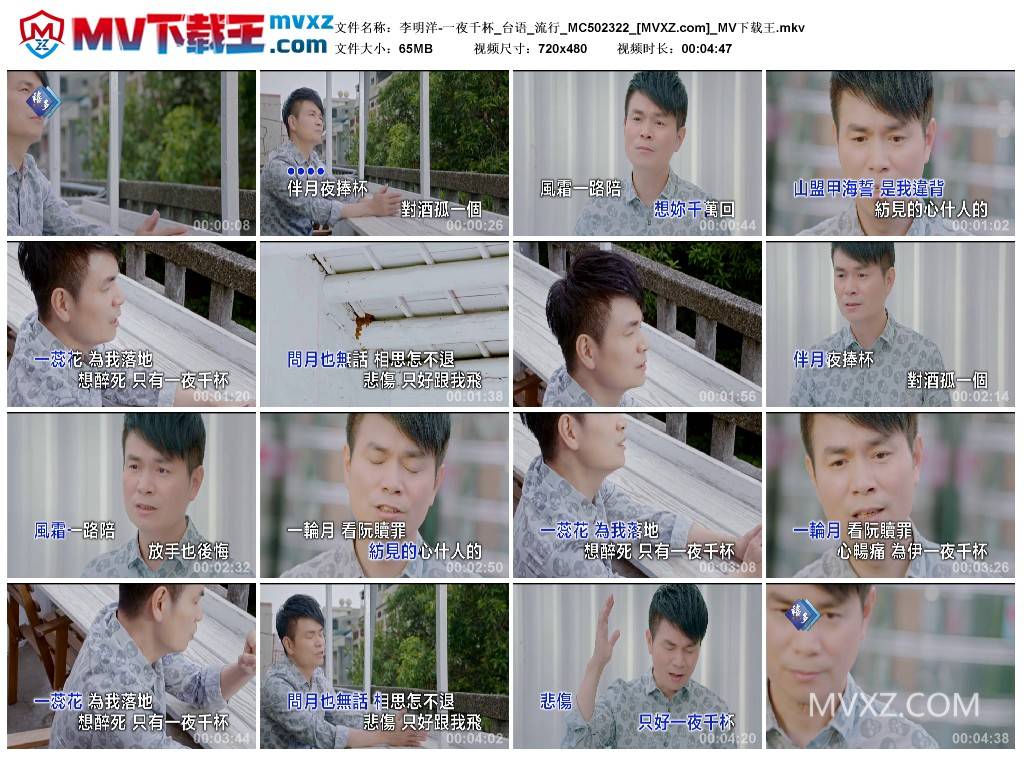 李明洋-一夜千杯_台语_流行_MC502322